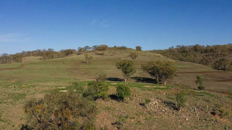 Glenn Morris Property Billabong