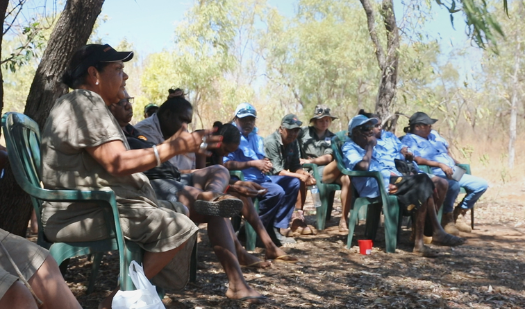 Regenerating Australia - Watching The Film (Years 9 & 10)